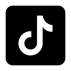 TikTok social media advertising platform